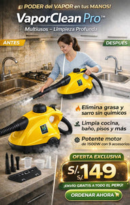 Vapor Clean Pro